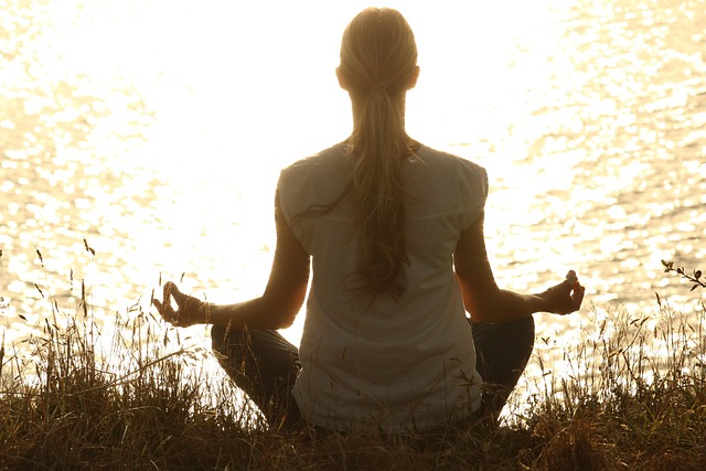 exploring meditation program options educational resources
